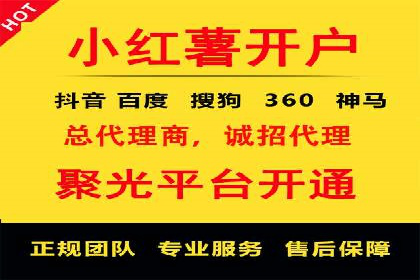 专业SEM托管助力企业快速成长案例分析